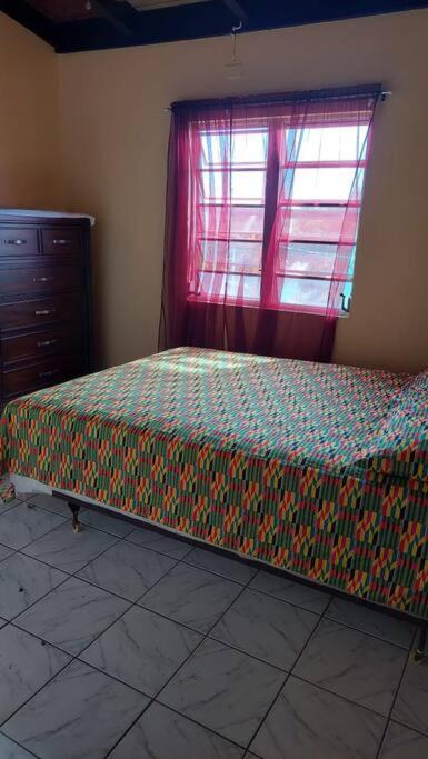 Conveniently Located, Quiet & Amp; Comfortable Christiansted Kültér fotó