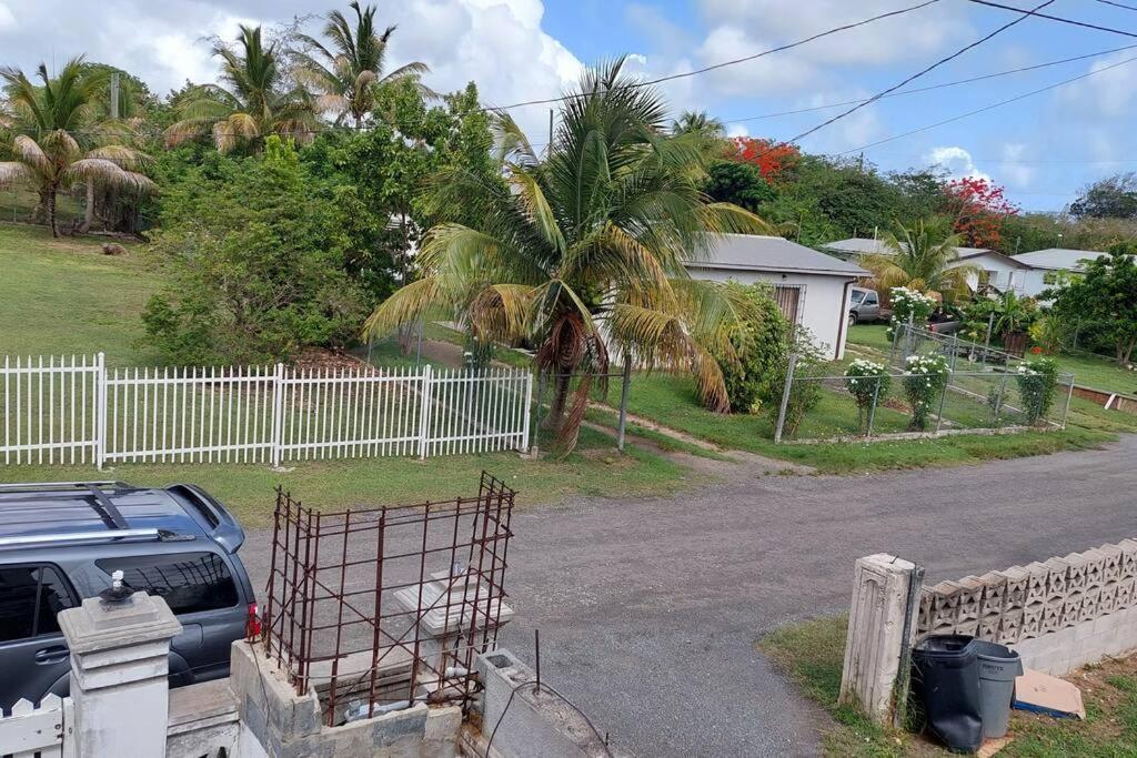 Conveniently Located, Quiet & Amp; Comfortable Christiansted Kültér fotó